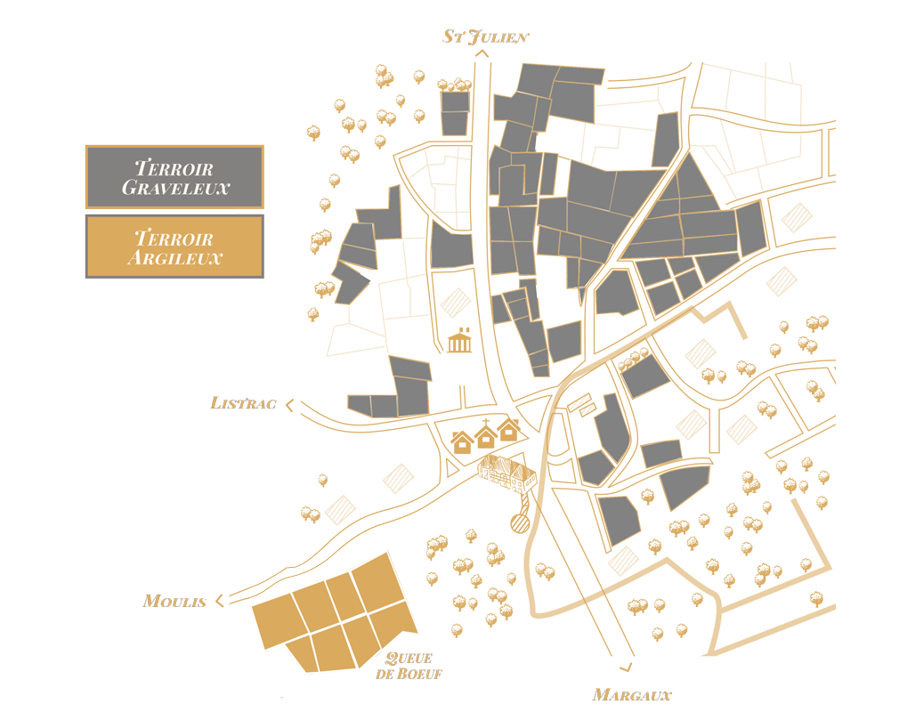 Plot map of the Château d'Arcins winery