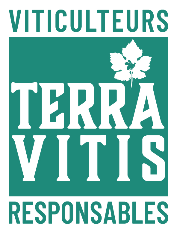 Logo Terra Vitis